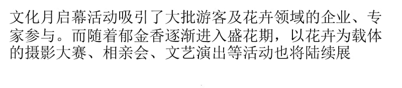 荷兰花海郁金香文化月开幕演示课件_第2页