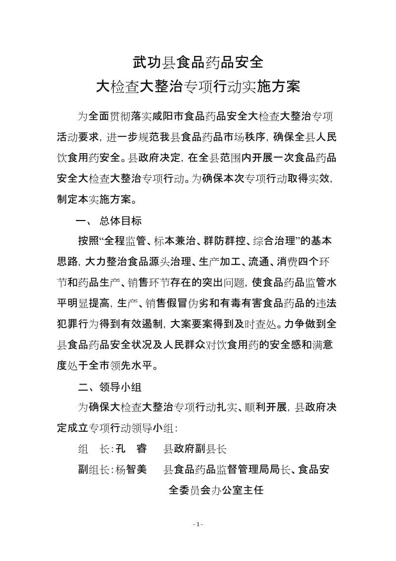 食品药品安全大检查大整治专项行动实施方案_第1页