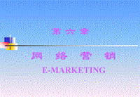 第六章網(wǎng)絡(luò)營銷