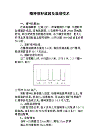 播種茶籽成園及栽培技術(shù)