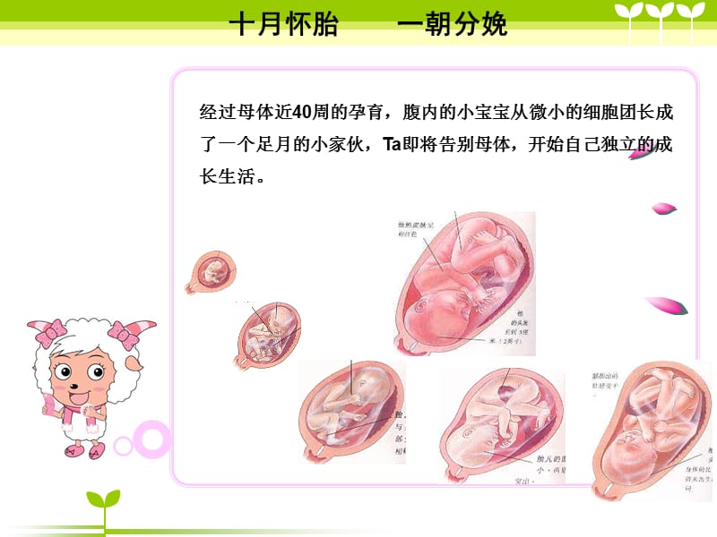 让分娩回归自然_第2页