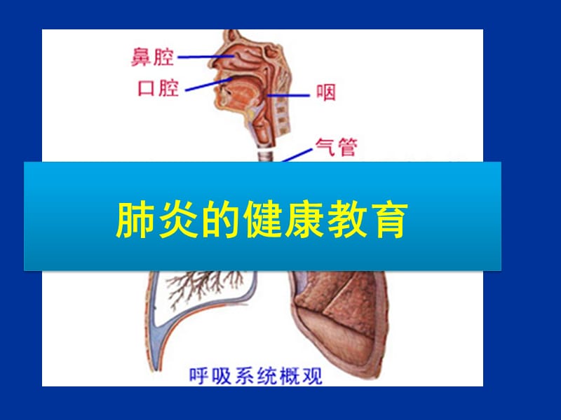 肺炎的健康教育PPT课件_第3页