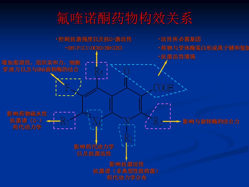 氟喹诺酮类的不良反应ppt课件_第3页