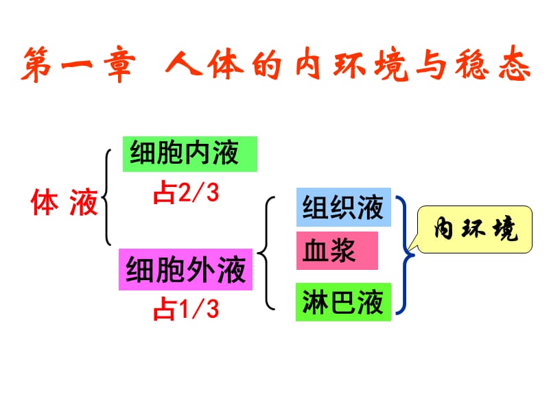 人教版高二生物必修三详细复习知识点PPT课件_第1页