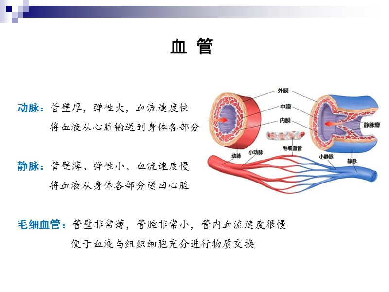 局部血液循环障碍PPT课件_第2页