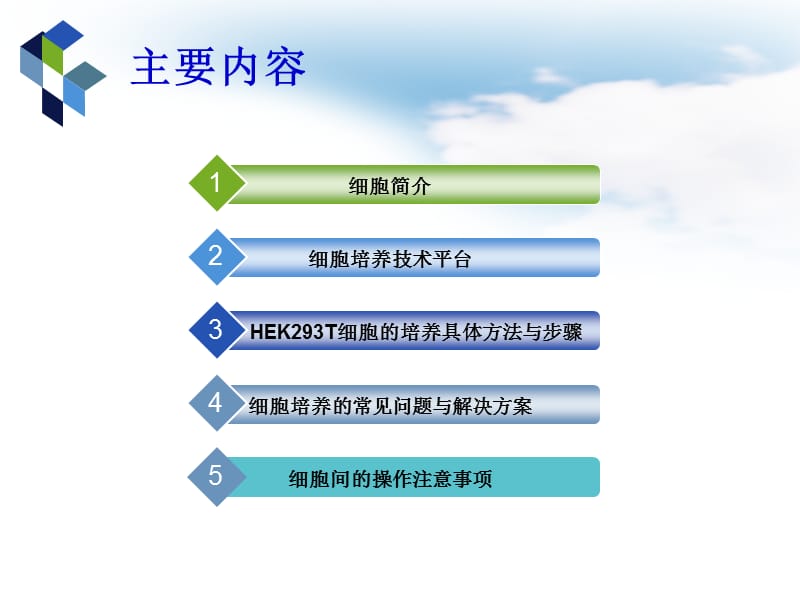 HEK293T细胞培养ppt课件_第2页