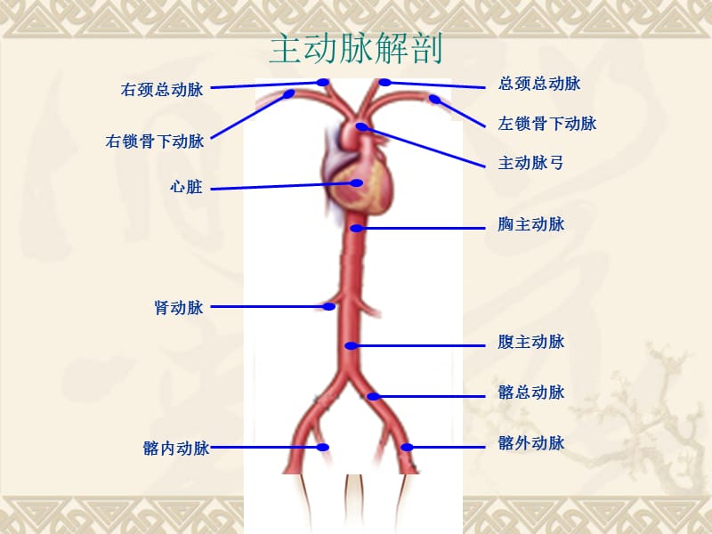 腹主动脉瘤之介入治疗PPT课件_第2页