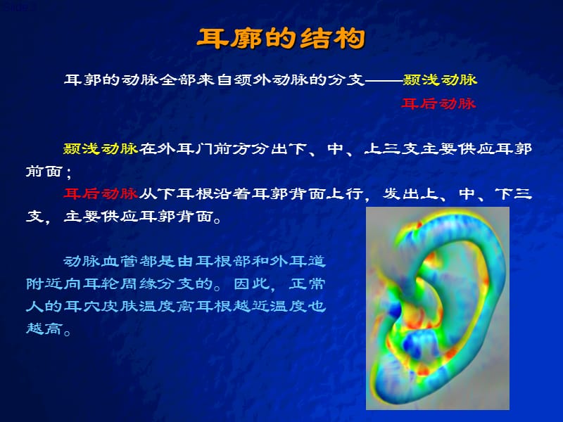 耳穴快速记忆法定位法及各种操作方法PPT课件_第3页