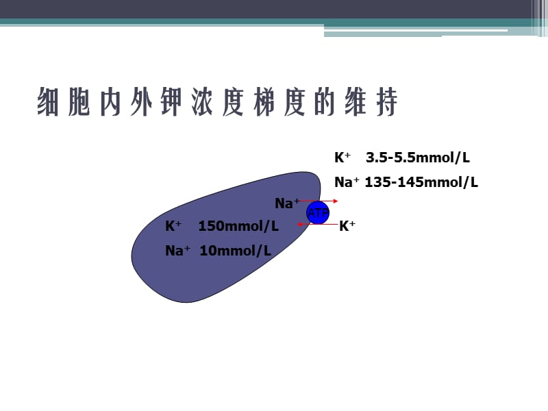 低钾血症的鉴别诊断PPT课件_第3页