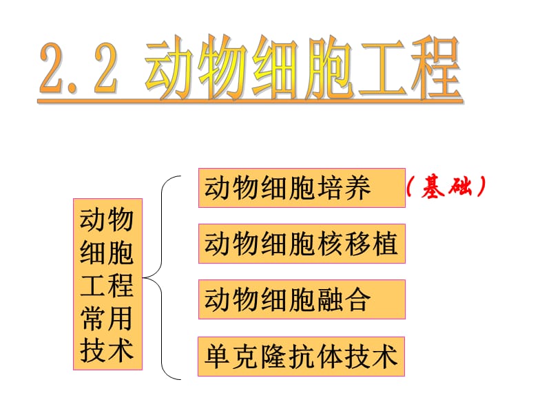 动物细胞培养和核移植技术新医学PPT_第1页