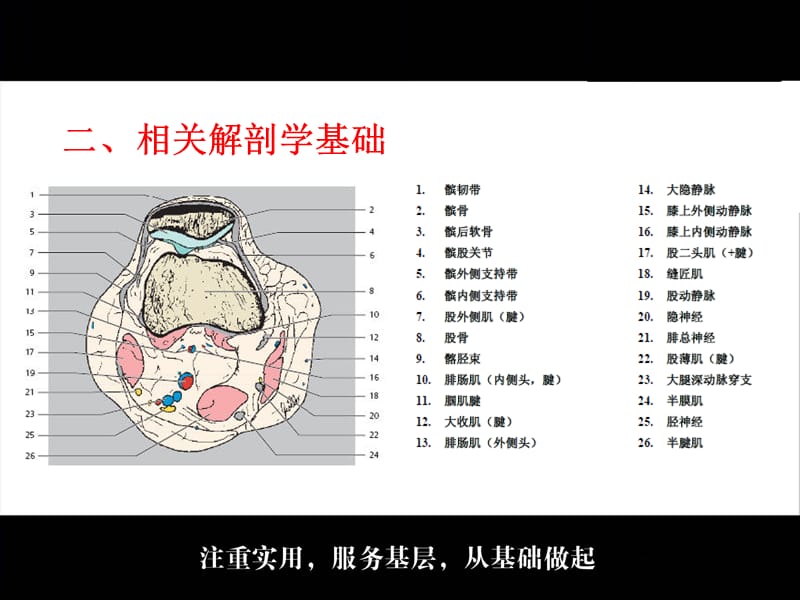 高位髌骨PPT课件_第3页