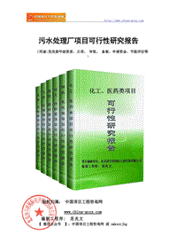 污水處理廠項(xiàng)目可行性研究報(bào)告（申請報(bào)告?zhèn)浒福? title=