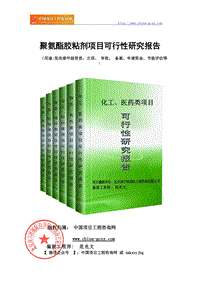 聚氨酯胶粘剂项目可行性研究报告（申请报告）
