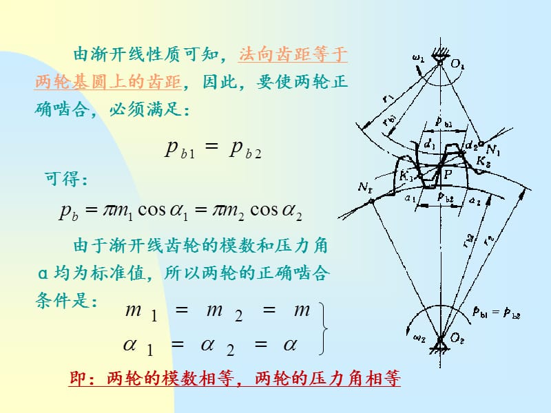 渐开线直齿圆柱齿轮的啮合传动_第3页