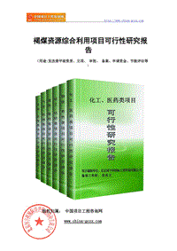 褐煤資源綜合利用項目可行性研究報告（申請報告?zhèn)浒福? title=