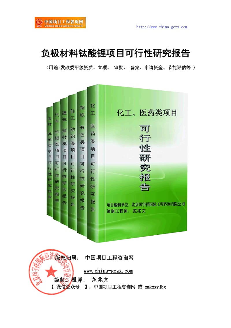 负极材料钛酸锂项目可行性研究报告（申请报告备案）_第1页