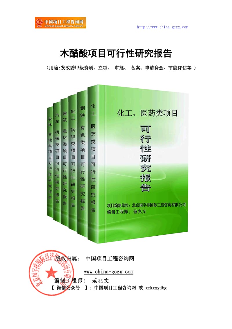 木醋酸项目可行性研究报告（申请报告备案）_第1页