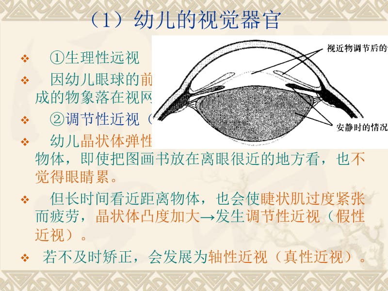 感觉器官的特点及卫生保健ppt课件_第2页