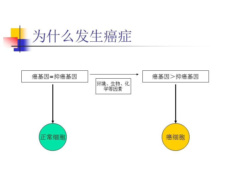 癌症的早期防治ppt课件_第3页