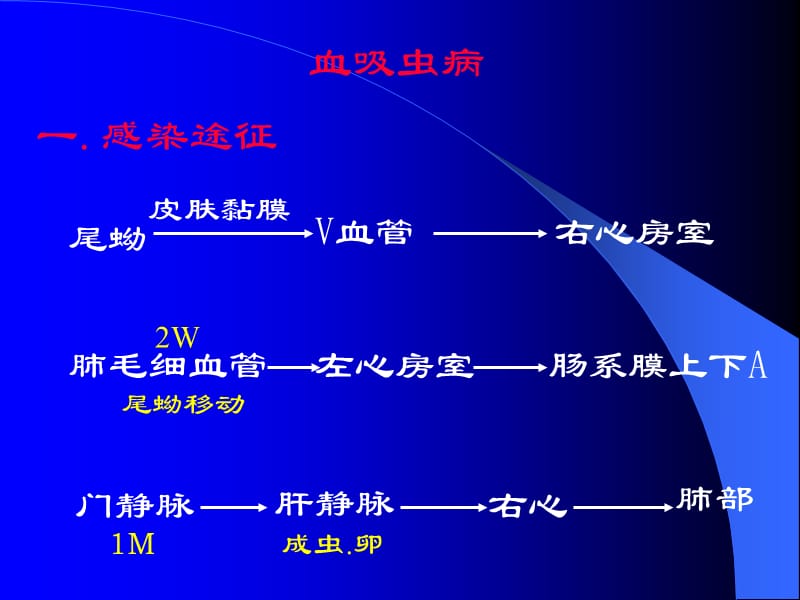 肺寄生虫病ppt课件_第1页