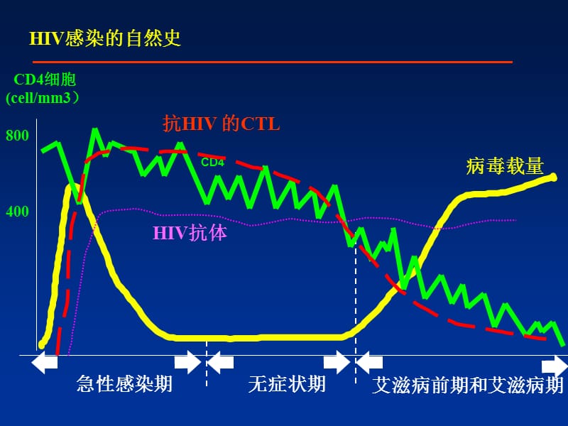 艾滋病临床表现及分期ppt课件_第2页