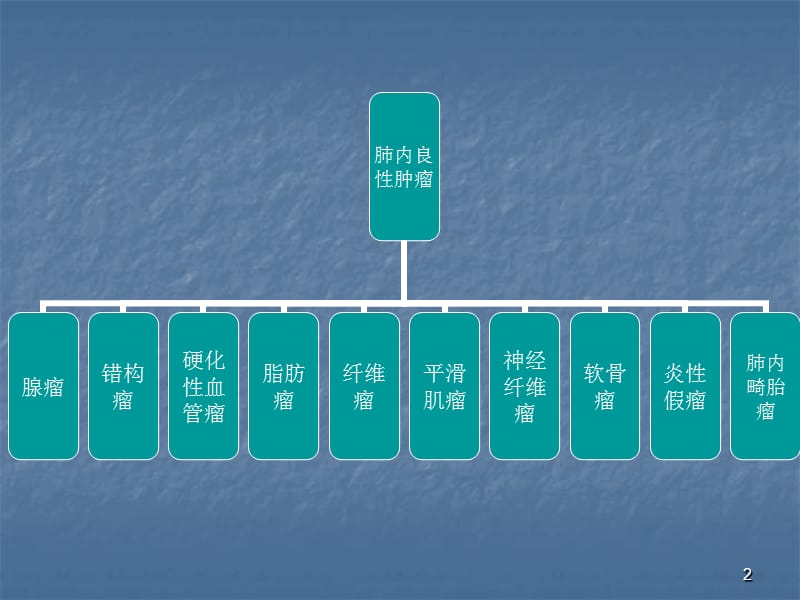 肺内良性肿瘤影像学诊断ppt课件_第2页