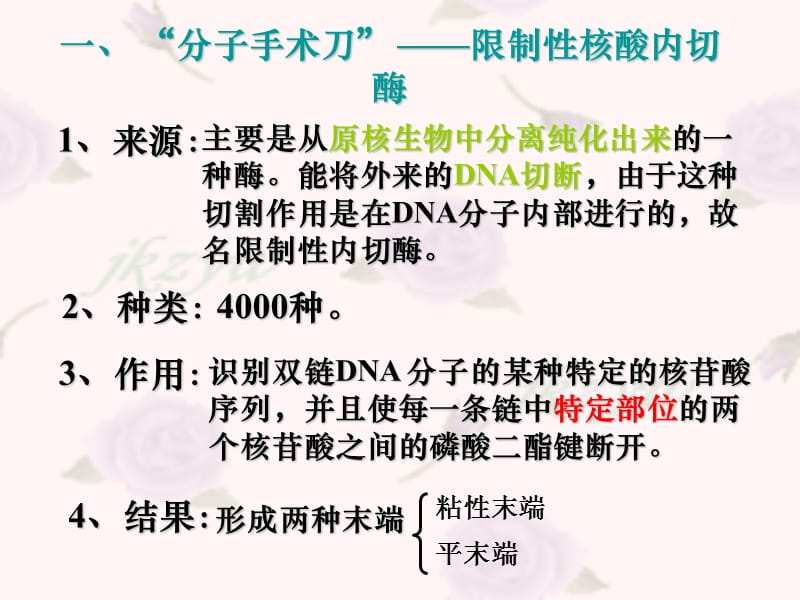 高二生物选修基因工程PPT课件_第2页