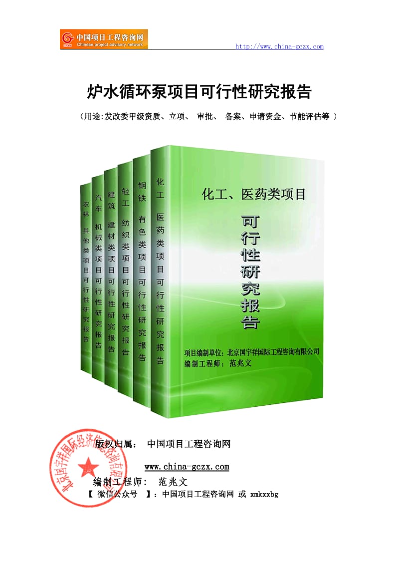 炉水循环泵项目可行性研究报告（备案申请报告）_第1页