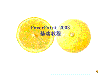 PowerPoint2003基礎(chǔ)教程PPT演示課件