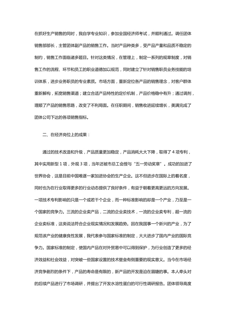 高级经济师工作总结报告范文_第2页