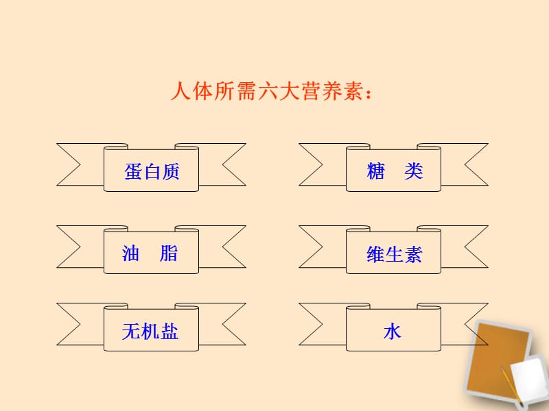 人类重要的营养物质教育课件_第3页