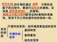 《基因突變和基因重組》教育課件