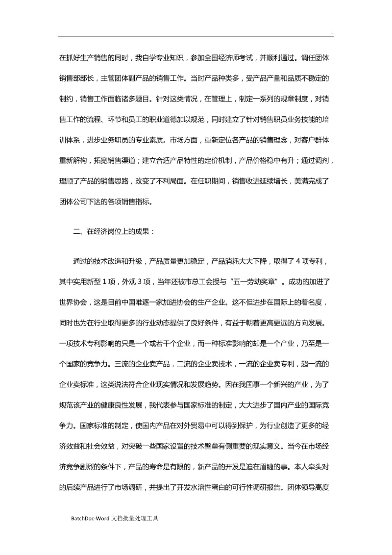 高级经济师工作总结报告范文word_第2页