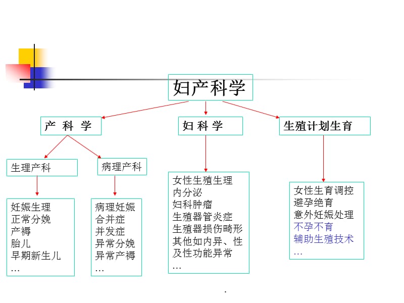 溶血性贫血PPT演示课件_第3页