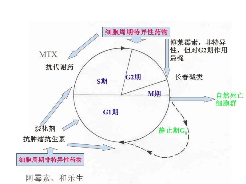 常见妇科肿瘤化疗副反应防治PPT演示课件_第3页