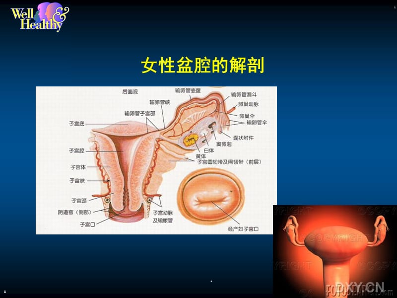 直肠肛管疾病病人的护理PPT演示课件_第3页