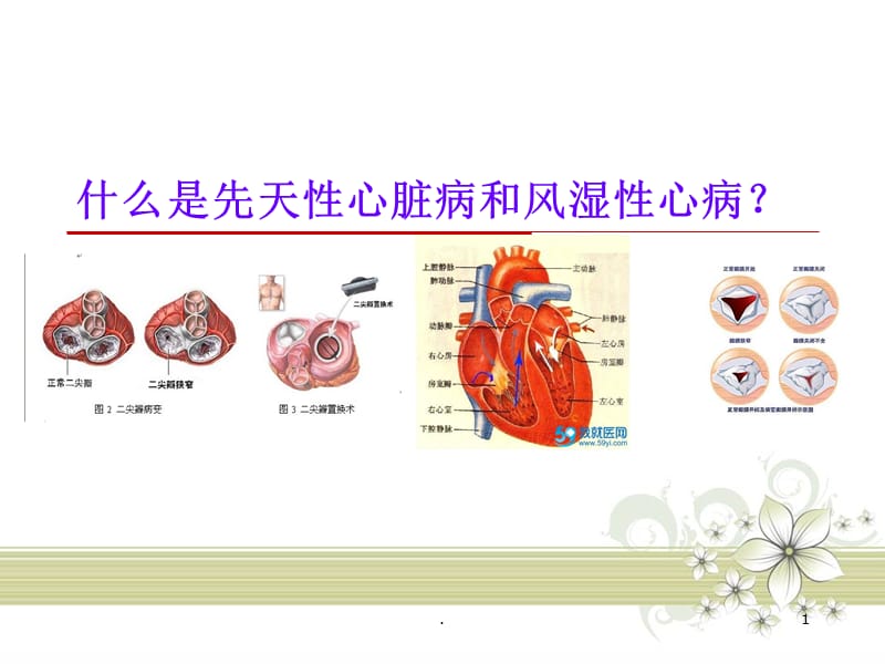 什么是先天性心脏和风湿性心脏病？-PPT演示课件_第1页