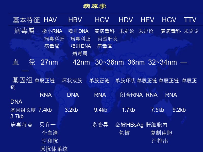 病毒性肝炎的治疗和预防 ppt课件_第3页