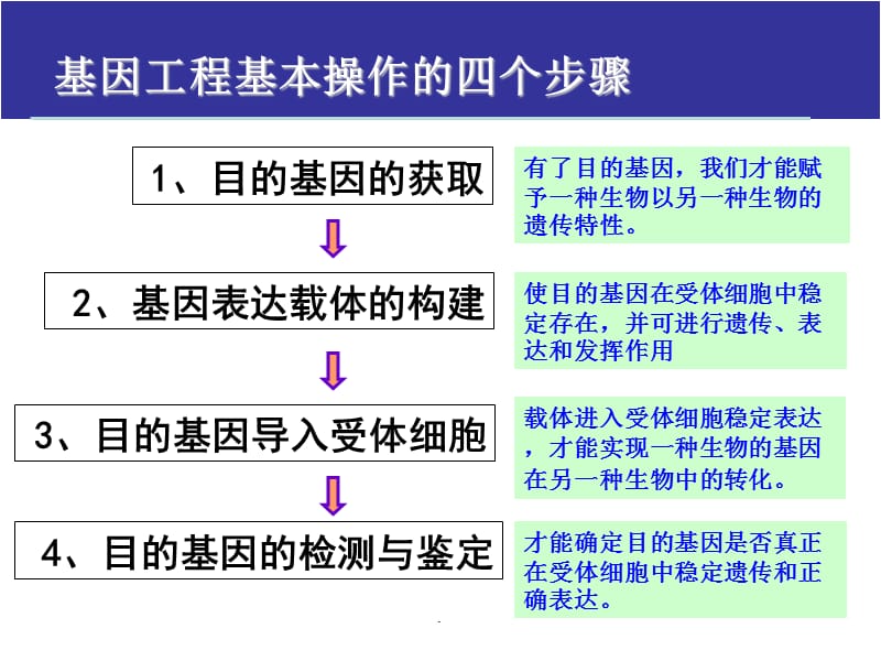 基因工程的基本操作程序演示文档_第3页