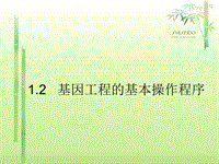 基因工程的基本操作程序演示文檔