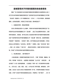 县城管局关于环境问题整改的自查报告word