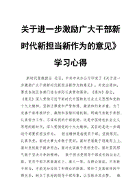 某局关于贯彻落实中央激励干部担当作为意见精神的情况报告 (2)