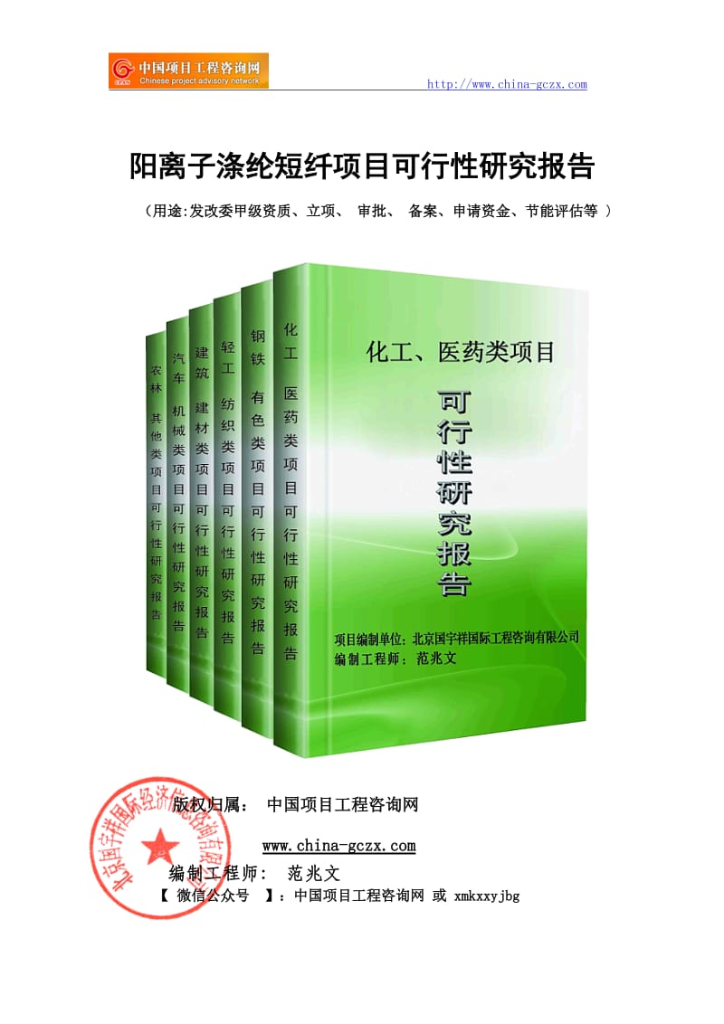 阳离子涤纶短纤项目可行性研究报告（申请报告备案）_第1页