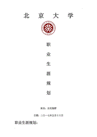 北京大學(xué)職業(yè)生涯規(guī)劃書word