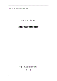 2016年度政府綜合財(cái)務(wù)報(bào)告樣式