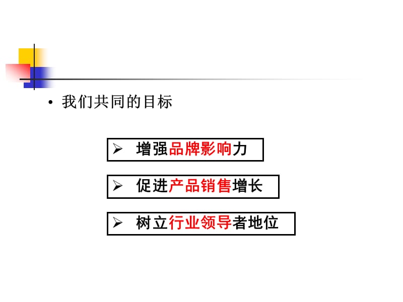 神州数码整合行销推广策划方案_第2页