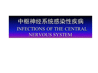 CNS病毒感染ppt課件