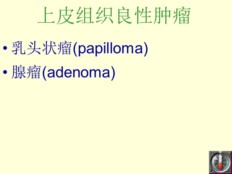 病理学常见肿瘤PPT课件_第2页