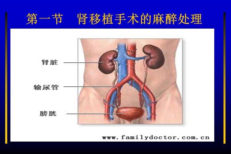 常见器官移植手术的麻醉PPT课件_第2页