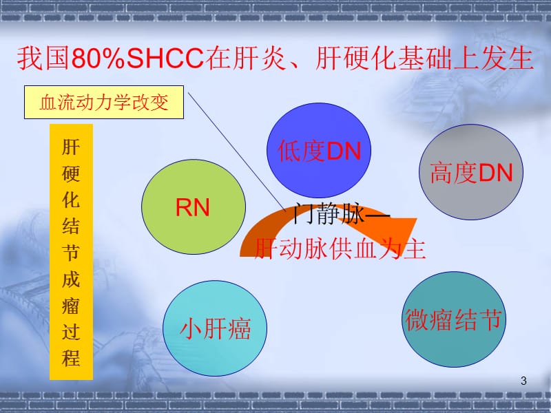 64排CT灌注成像诊断小肝癌PPT课件_第3页